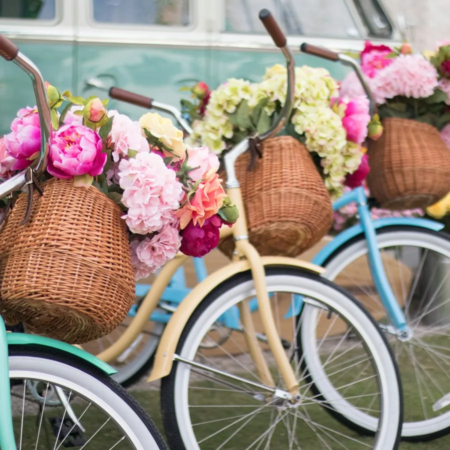 Pastel beach cruiser bikes with wicker baskets